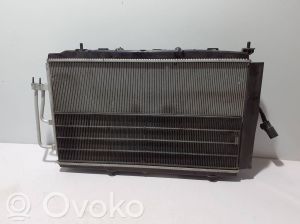 Peugeot 208 (2019–2026) Radiatoru komplekts un tā detaļas - 4