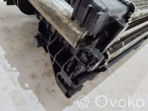 RENAULT Arkana (2019–2026) Radiator set and its parts - 2