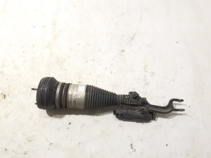   Front shock absorber  - A2973205601 