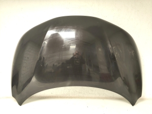   Motorhaube  - F51004EAMA 