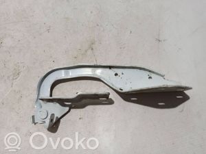 Kapoti hing - 654006928R