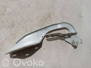 Kapoti hing - 654019784R