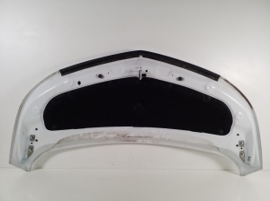 Opel Ampera E (2017–2026) Motorhaube - 2