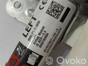 Tesla Model 3 3 (2016–2024) Dachairbag 1077827 - 2