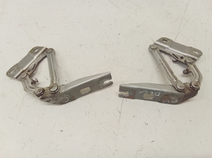 Hood hinge - A251880022
