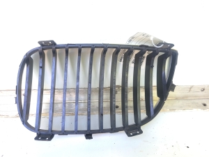 BMW 1 SERIES E81 (2007–2012) Hood grille 511370771309 - 2
