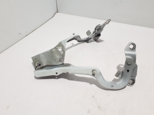 RENAULT Scenic (2016–2026) Kapoti hing - 4
