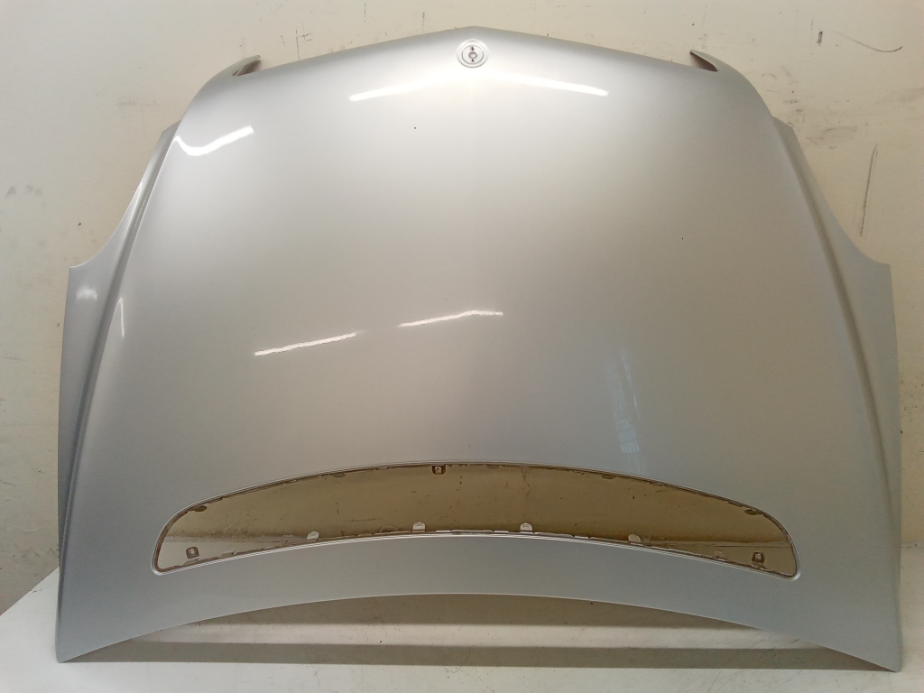 Mercedes Benz R-Class 251 (2006–2017) Hood 251122000111101 Mercedes Benz R-Class 251 (2006–2017) Hood 251122000111101