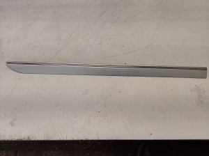 Tagumise küljeukse liist - A2516902662