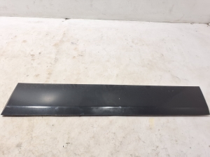   Front door molding  - 87724AT100 