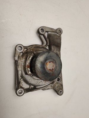   Water pump  - 210106113R 