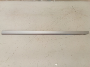 Front door molding - A2516902162