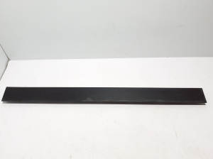   Front door molding  - 31672646 