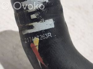 RENAULT Clio V (2019–2026) Radiator hose 217417263R - 2