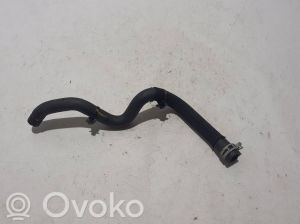 RENAULT Clio V (2019–2026) Radiator hose 217417263R - 3