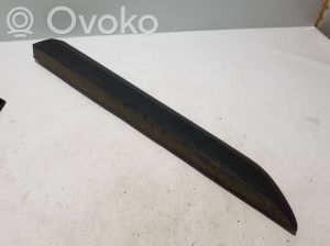 Front door molding - 801867113R