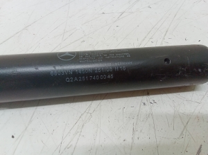 Mercedes Benz R-Class 251 (2006–2017) Heckklappendämpfer A2517400045 - 2