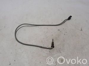 Izplūdes gāzu temperatūras sensors - 226402153R