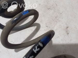 RENAULT Koleos (2016–2026) Rear spring 550205HA0B - 2