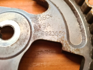 Ford Focus (2018–2026) Nockenwellenriemenscheibe 9819923680 - 3