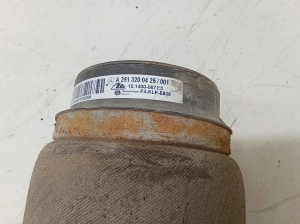 Mercedes Benz R-Class 251 (2006–2017) Luftfeder Hinterachse A2513200425 - 4