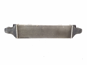 Mercedes Benz E-Class W207 (2009–2017) Vahejahuti radiaator A2045000200 - 5
