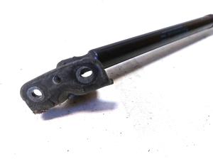 Ford B-MAX (2012–2018) Trunk lid strut AV11R406A10AB - 2
