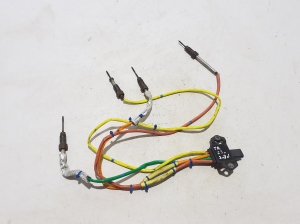 Abgastemperatursensor - 226589153R