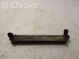 RENAULT Fluence (2009–2017) Vahejahuti radiaator 144966078R - 2