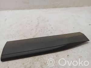 Front door molding - 9811674377