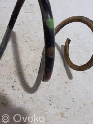RENAULT Captur (2019–2026) Front spring 540107498R - 3