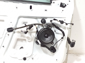 RENAULT Zoe (2012–2026) Front door 801015486R - 2