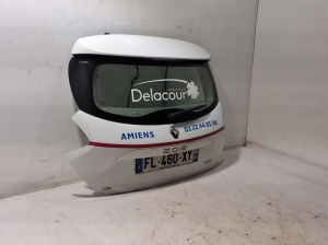 RENAULT Zoe (2012–2026) Hayon 901003877R - 2
