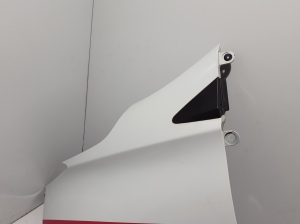 RENAULT Zoe (2012–2026) Front fender 631010917R - 2