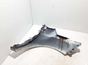 RENAULT Zoe (2012–2026) Front fender 631010917R - 3