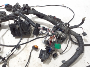 RENAULT Zoe (2012–2026) Kabelbaum 403889302R - 3