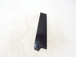   Rear side door outer window molding  - 822820574R 