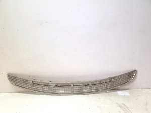 Hood grille - A2518800045
