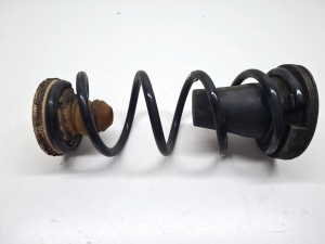 Ford Focus (2018–2026) Rear spring JX615560TBB - 2