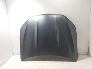 Motorhaube - A1678800300