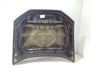 Motorhaube - LJ8BR16612AH