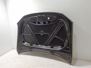 Volkswagen Amarok I (2010–2022) Motorhaube 2H0823033 - 8