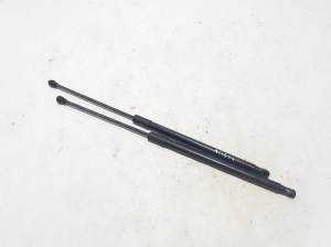   Trunk lid strut  - 904510569R 