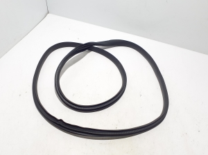   Front door rubber seal  - 769216924R 