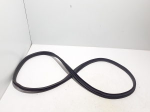   Rear side door seal on the door  - 769238006R 