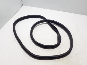  Rear side door seal on the door  - 769238006R 