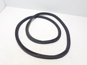   Trunk seal (on body)  - 908305533R 