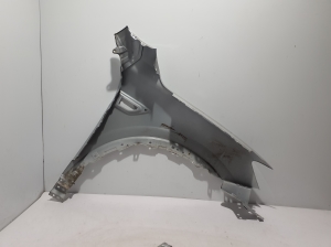 RENAULT Arkana (2019–2026) Front fender 631017236R - 3