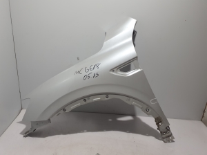 Front fender - 631017236R