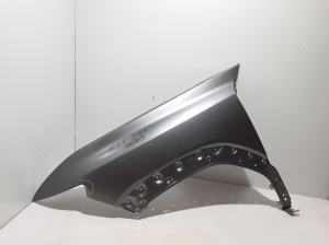 Front fender - 631138184R